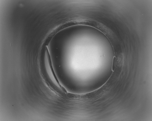 X0000071340732200606231137