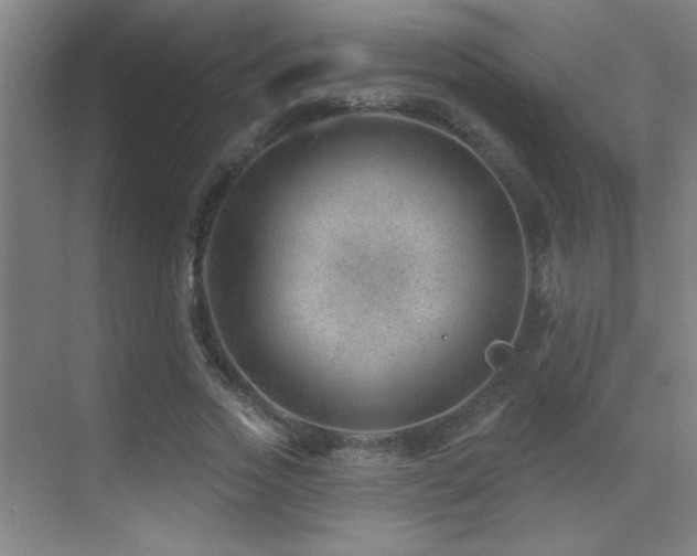 X0000071340733200606231137