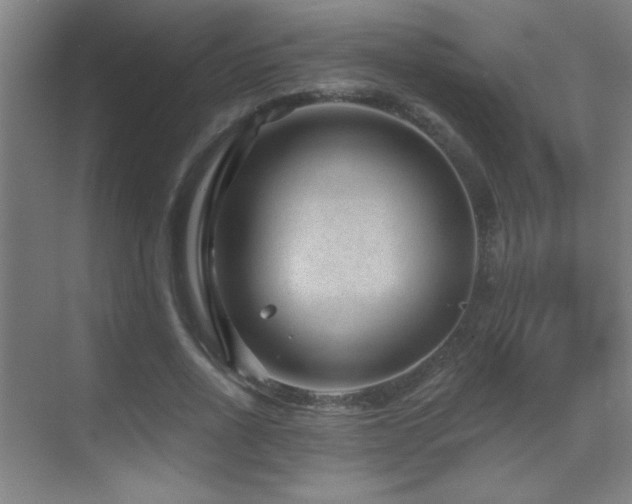 X0000071340734200606231137