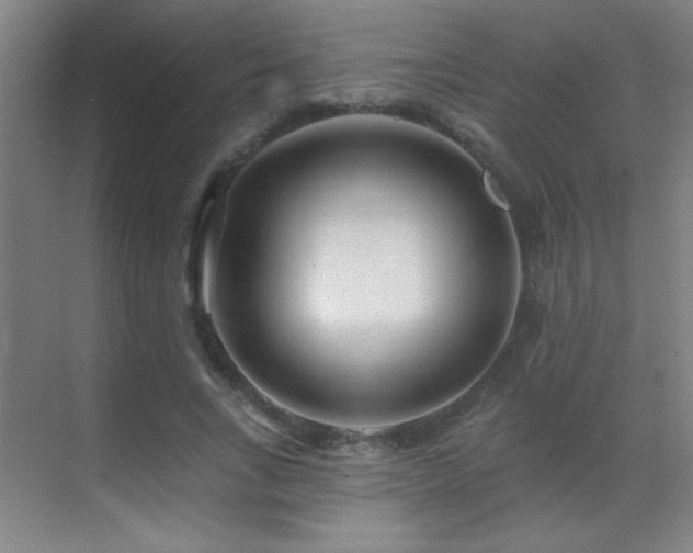 X0000071340735200606231137