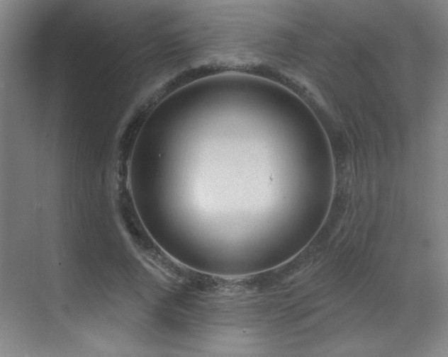 X0000071340736200606231137