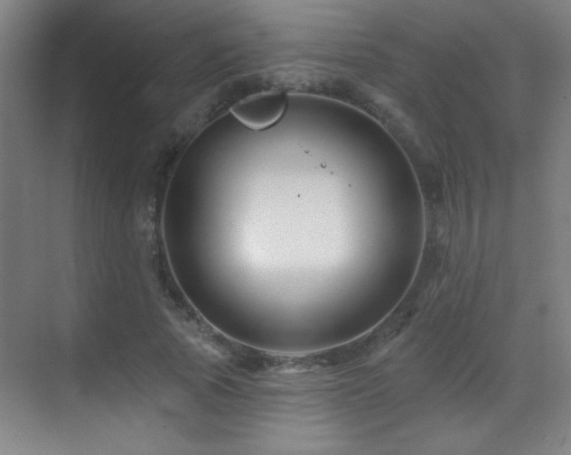 X0000071340737200606231137