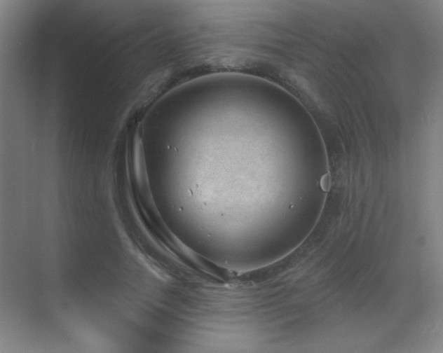 X0000071340738200606231137