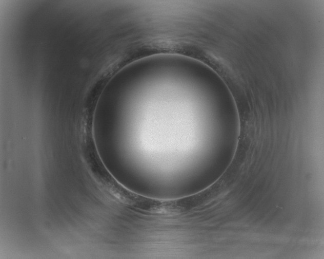 X0000071340739200606231137