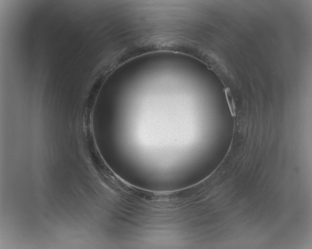 X0000071340740200606231137