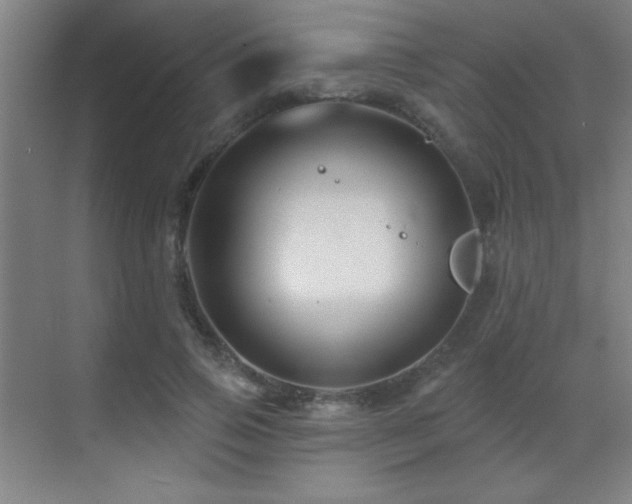 X0000071340741200606231138