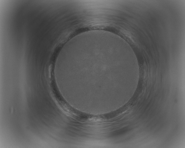 X0000071340742200606231138