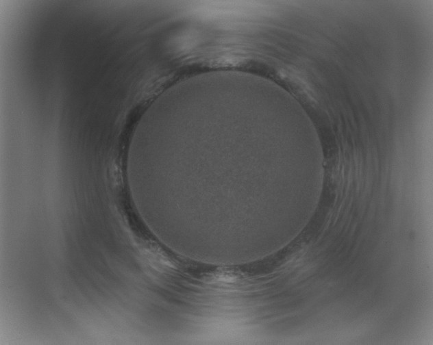 X0000071340743200606231138