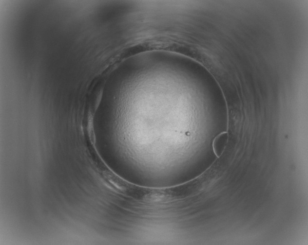 X0000071340745200606231138