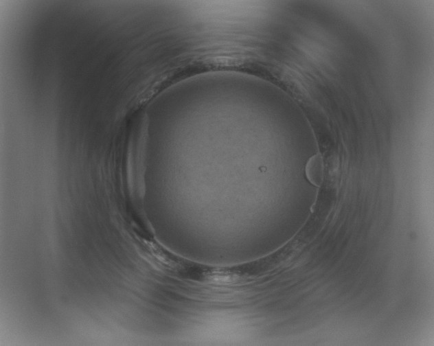 X0000071340746200606231138