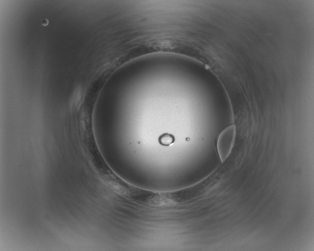 X0000071340747200606231138