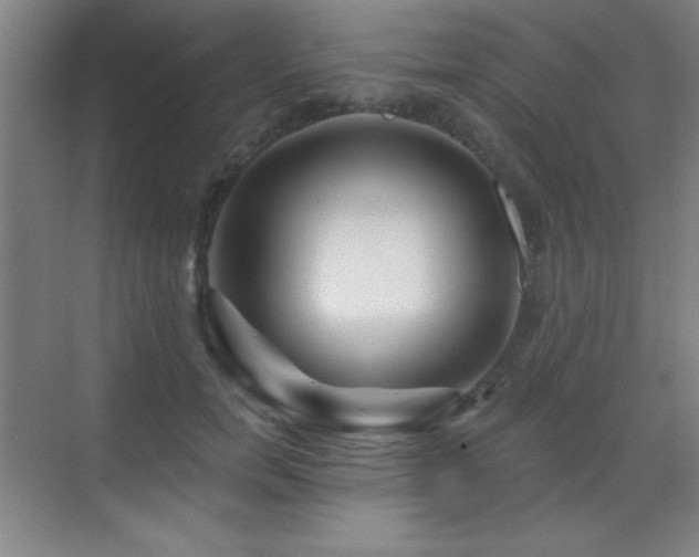 X0000071340750200606231138