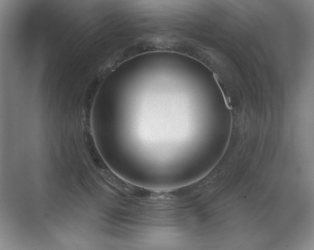 X0000071340752200606231138