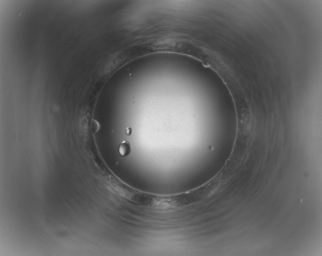 X0000071340753200606231138