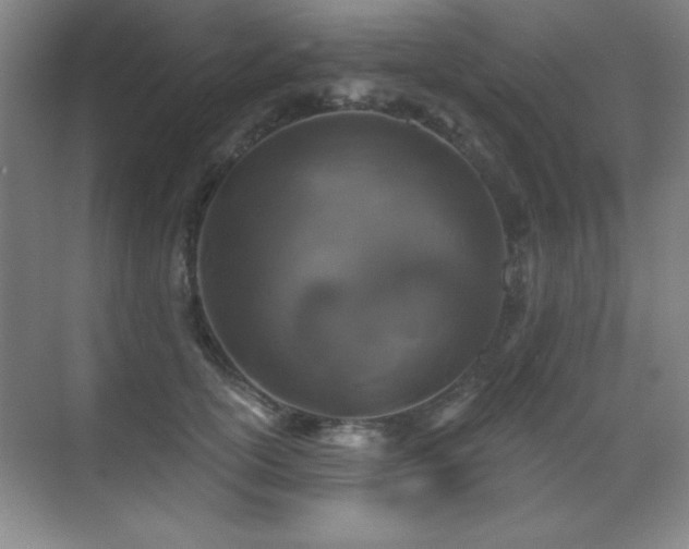 X0000071340754200606231138