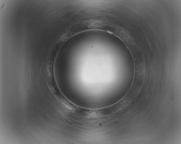 X0000071340755200606231138