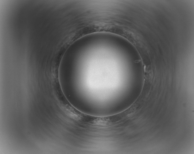 X0000071340756200606231138