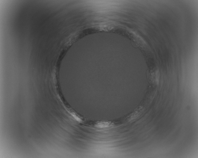 X0000071340757200606231138