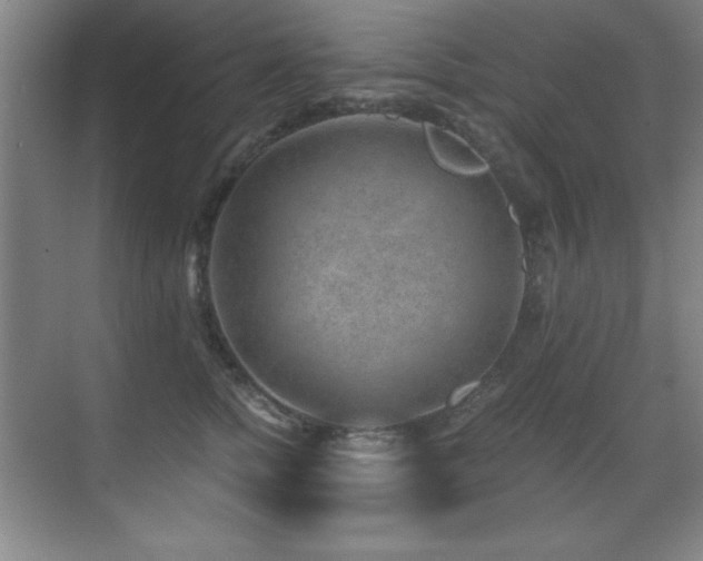 X0000071340758200606231138