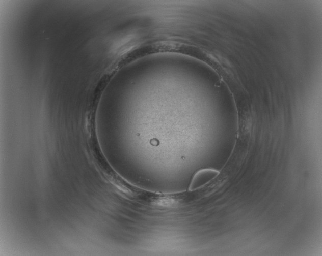 X0000071340759200606231138