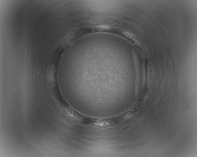 X0000071340760200606231138