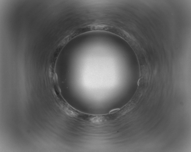 X0000071340761200606231138