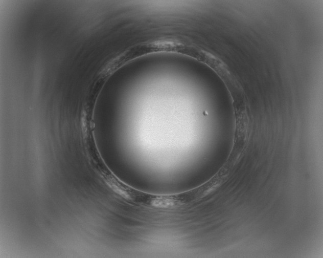 X0000071340762200606231138