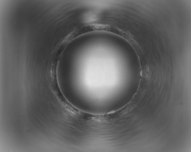 X0000071340763200606231138