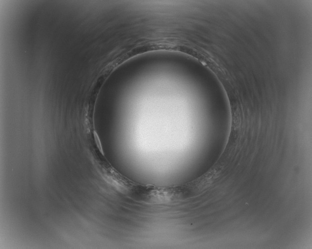 X0000071340764200606231138