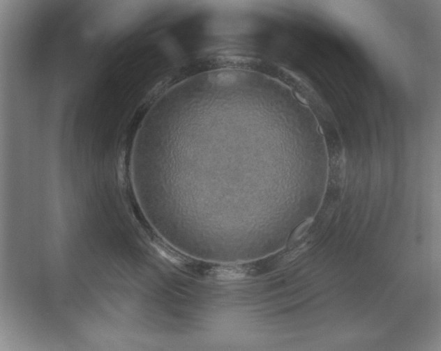 X0000071340765200606231138