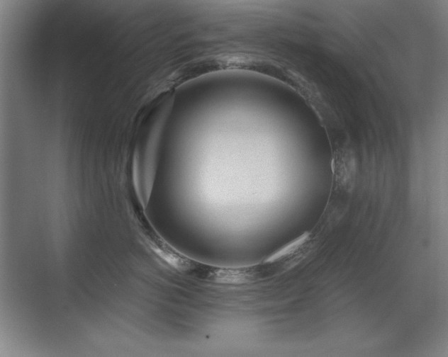 X0000071340766200606231138