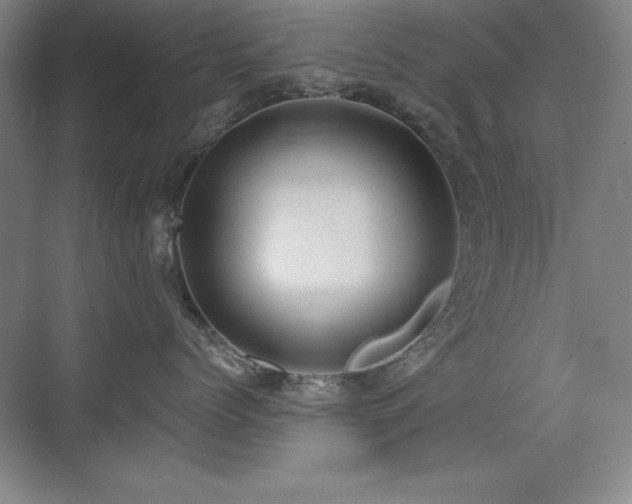 X0000071340768200606231138