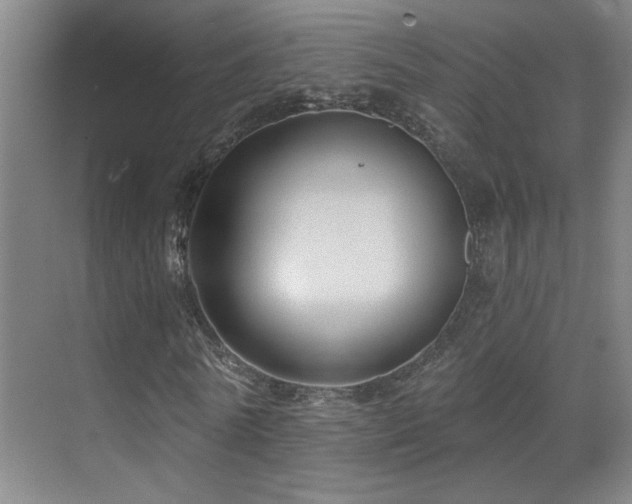 X0000071340770200606231137