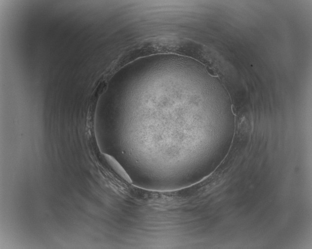 X0000071340772200606231137