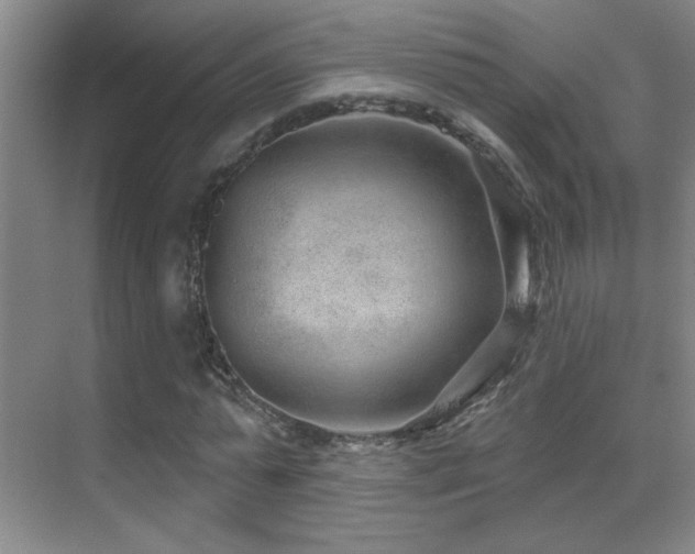 X0000071340775200606231137