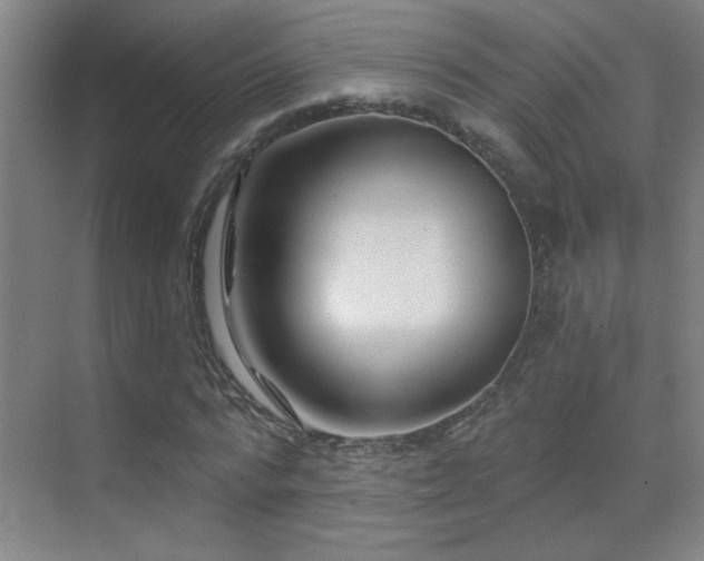 X0000071340776200606231137