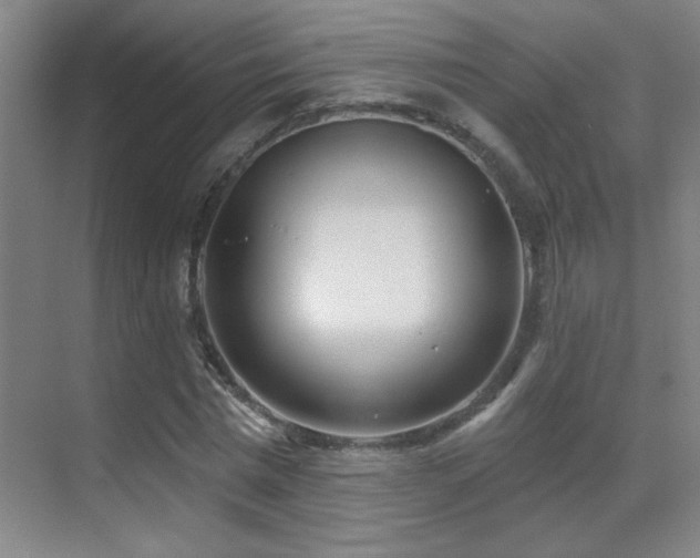 X0000071340777200606231137