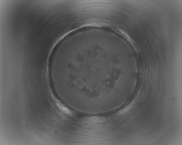 X0000071340779200606231137