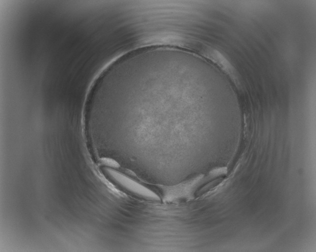 X0000071340780200606231137