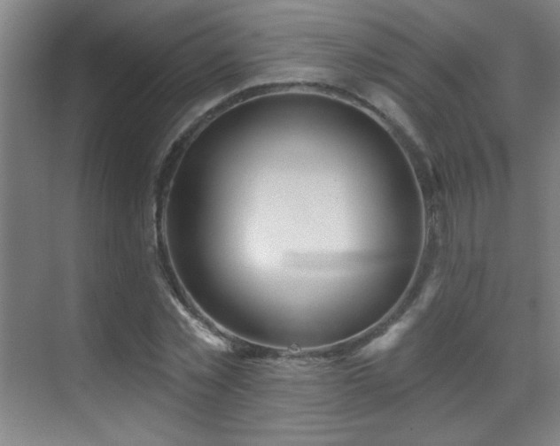 X0000071340781200606231137