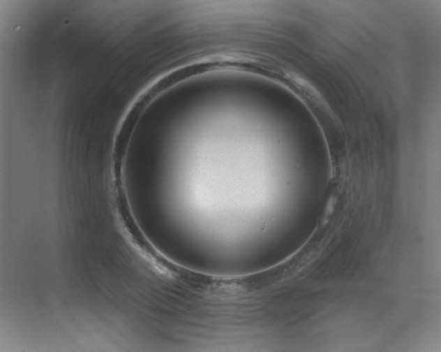 X0000071340784200606231137