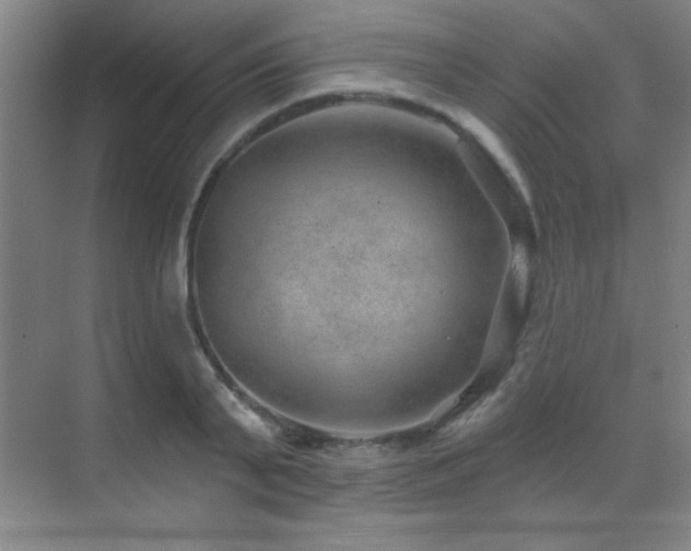 X0000071340791200606231137