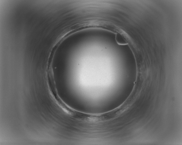 X0000071340794200606231137