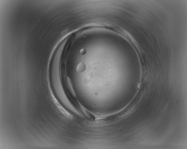 X0000071340795200606231137