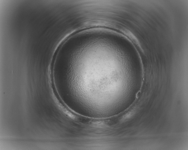 X0000071340798200606231137