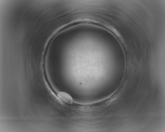 X0000071340799200606231137