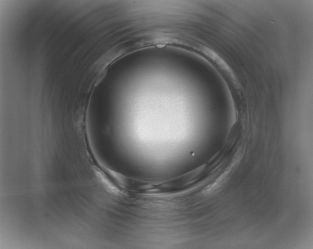 X0000071340801200606231137