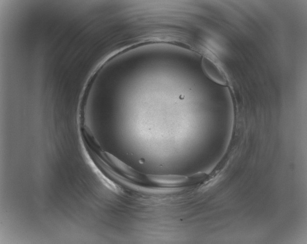 X0000071340803200606231137