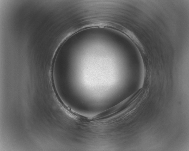 X0000071340805200606231137