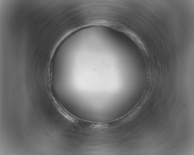 X0000071340808200606231136